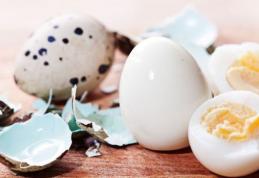Cum se ține cura cu ouă de prepeliță