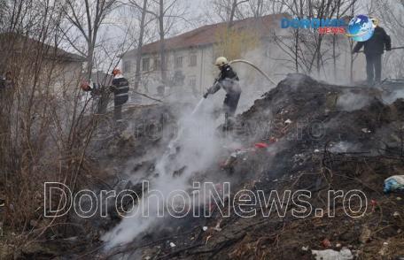 Incendiu la Cimitirul Eternitatea din Dorohoi! Pompierii au intervenit pentru stingere – FOTO
