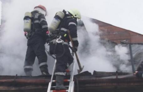 Incendiu la un adăpost de animale din Dumeni! Pompierii dorohoieni au intervenit pentru stingere – FOTO