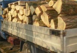 Material lemnos confiscat de poliţişti. Un sucevean a fost amendat cu 500 de lei