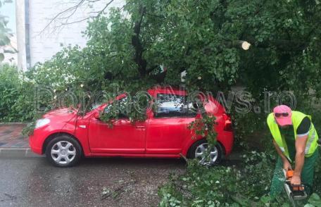 Vijeliile şi grindina fac ravagii: Acoperișuri luate de vânt, drumuri blocate, un copac a căzut peste o maşină la Dorohoi - FOTO