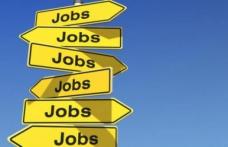 330 locuri de muncă vacante în Spaţiul Economic European
