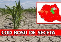 COD ROȘU de secetă în România! ANM anunță caniculă severă și fenomene extreme