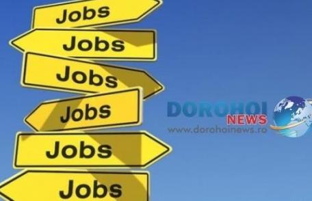 453 locuri de muncă vacante în Spaţiul Economic European