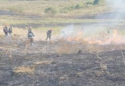 Incendiu puternic la Văculești! 20 de pompieri dorohoieni intervin pentru stingere – FOTO