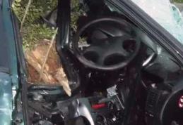 Femeie din Dorohoi rănită într-un accident produs de un șofer băut care a intrat cu mașina într-o cioată de copac