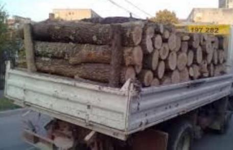 Material lemnos confiscat de poliţişti la Flămânzi