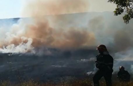 Pompierii dorohoieni în alertă! Zeci de hectare de vegetație distruse de mai multe incendii - FOTO