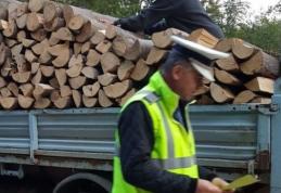 Transport ilegal de lemn, depistat de polițiști în Dorohoi! Șoferul a fost sancționat și marfa confiscată