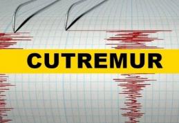 Cutremur în Vrancea în prima oră din 2020. Ce magnitudine a avut