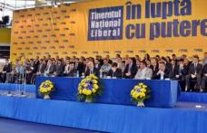 Tineretul Național Liberal susține rolul tinerilor români în promovarea unei Românii demne