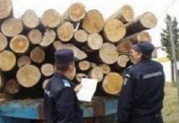Amendă usturătoare și material lemnos pe care îi transporta fără acte confiscat