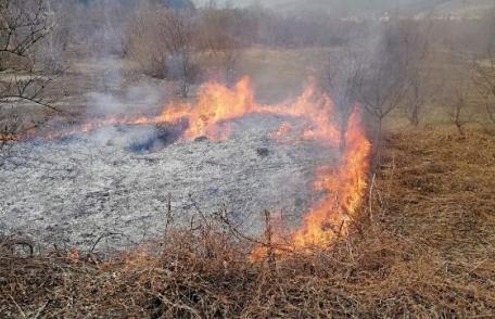 Două incendii de vegetație uscată, în mai puțin de o oră