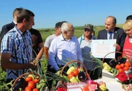 Lucian Trufin: „Programul tomate în variantă liberală îi va lăsa pe legumicultorii botoșăneni fără cei 3000 de euro”