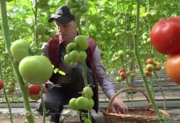 Lucian Trufin: „Cultivatorii de tomate din Botoșani sunt duși cu zăhărelu’ de Guvernul liberal”