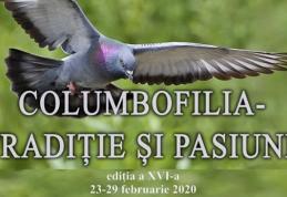 Expoziţia „Columbofilia - tradiție și pasiune” la Dorohoi. Vor fi expuse peste 400 de exemplare de păsări