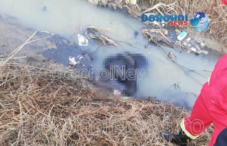 Descoperire șocantă! Bărbat găsit decedat în Pârâul Dorohoi - FOTO