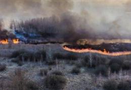 Incendiu în zona radioactivă de la Cernobîl! ANM: Norul de fum nu va ajunge în România