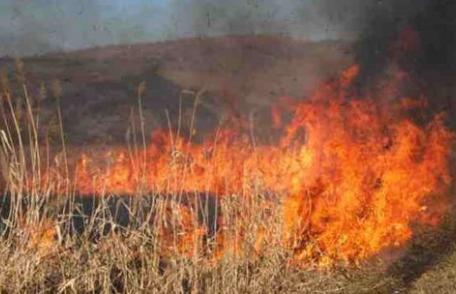 SVSU Dorohoi: Arderea vegetației uscate un pericol pentru cei din jur