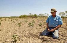 A fost aprobată înființarea Comisiei pentru despăgubirea botoșănenilor afectați de secetă