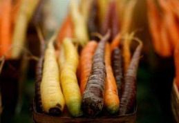 Beneficiile morcovilor pentru sănătate, în funcție de culoarea acestora