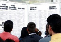 AJOFM Botoşani : Situația statistică a persoanelor aflate în căutarea unui loc de munca	