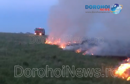 Incendiu de vegetație izbucnit la marginea municipiului Dorohoi - FOTO