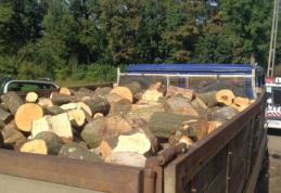 Transport ilegal de lemne sancționat de polițiști