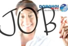 684 locuri de muncă vacante în județul Botoșani în această săptămână