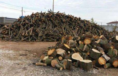 Material lemnos confiscat de la o societate din comuna Mihai Eminescu 