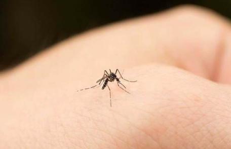 Cum tratăm rapid mușcăturile de țânțari