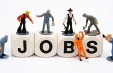 826 locuri de muncă puse la dispoziție de agenți economici în județul Botoșani în această săptămână!