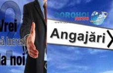 898 locuri de muncă puse la dispoziție de agenți economici în județul Botoșani în această săptămână!