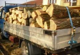 Transport ilegal de lemne depistat de polițiști la Pomârla