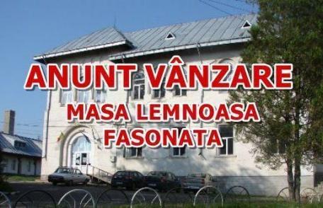 Liceul Teoretic „Anastasie Bașotă” Pomârla anunță organizarea licitației masă lemnoasă fasonată gorun la drum auto