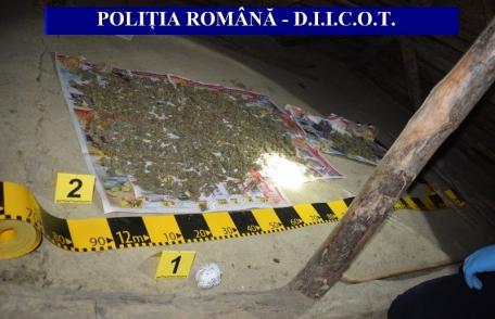 Un kilogram de cannabis, descoperit în urma unor percheziții în orașul Darabani - FOTO