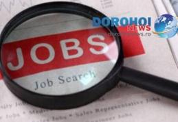 877 locuri de muncă vacante în județul Botoșani în această săptămână