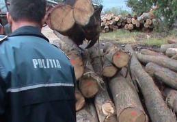 Transport ilegal de lemne! Un bărbat din Ibănești s-a ales cu amendă și materialul lemnos confiscat