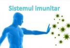 sistemul-imunitar-n