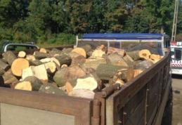 Patron amendat pentru activități ilegale cu material lemnos