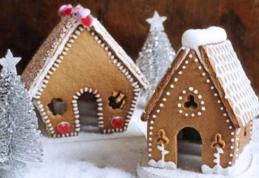 12 decembrie - Ziua Internațională a caselor de turtă dulce