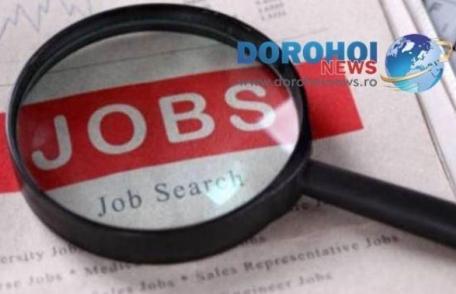 721 locuri de muncă vacante în județul Botoșani în această săptămână