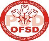 OFSD Botoșani: Puncte de vedere cu privire la Legea asistenței sociale