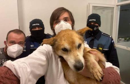 Câine salvat de doi polițiști inimoși – FOTO