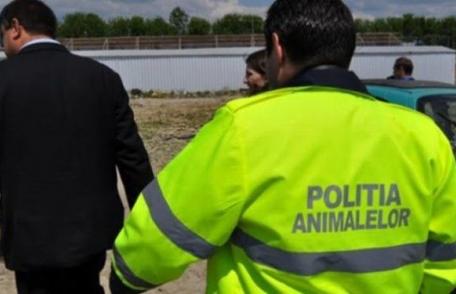 Atribuțiile polițiștilor din cadrul Poliției pentru Protecția Animalelor