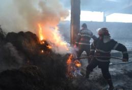 Incendiu la un depozit de furaje din Hudești, stins după șase ore