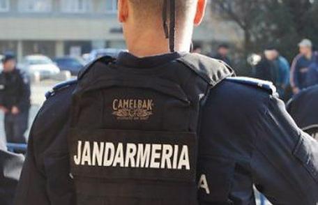 IJJ Botoșani: Jandarmii au dreptul să legitimeze, să efectueze control corporal asupra persoanei și bagajului acesteia în cadrul unor proteste