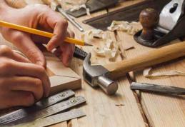 Societate comercială din domeniul prelucrării lemnului angajează muncitori calificați și necalificați
