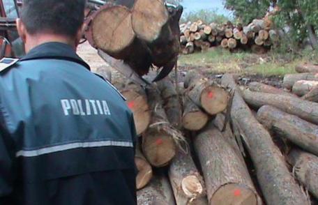 Material lemnos de peste 10000 lei confiscat de polițiști