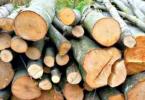lemn confiscat